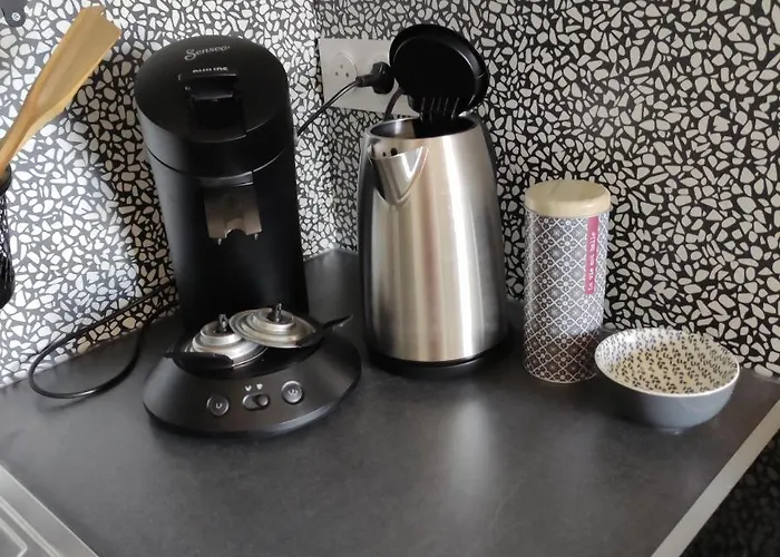 公寓 Les Mouettes Du Port 翁弗勒尔