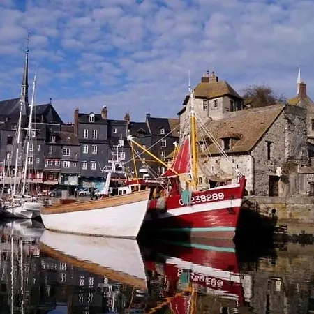 Les Mouettes Du Port Apartment *